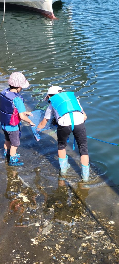 釣り竿をおいて急に二人で網をもってごそごそしています？？？