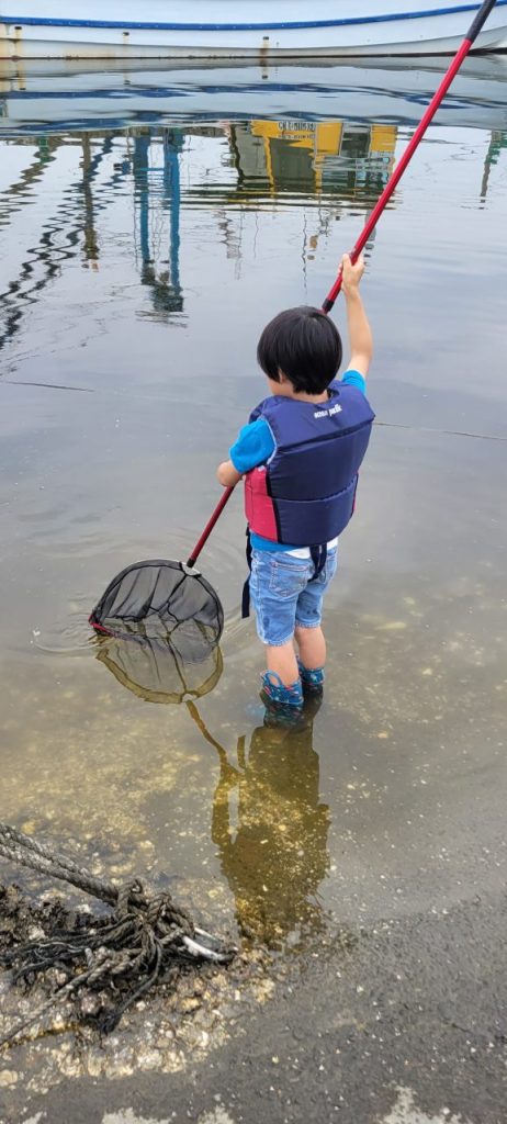 前回ほど海は綺麗ではないですが、頑張ってエビをすくおうと頑張る長男！今日の夜めしを任せるぞ！